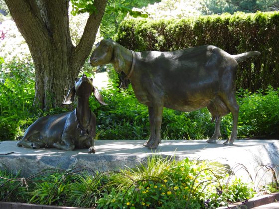 Two bronze goat statues placed in a garden setting.