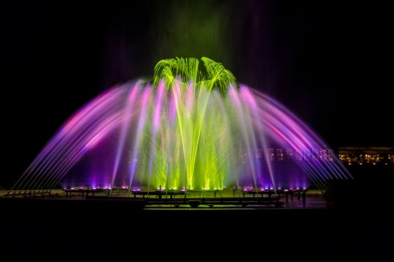 A fountain show at Longwood Gardens featuring purple and green lights at night. 