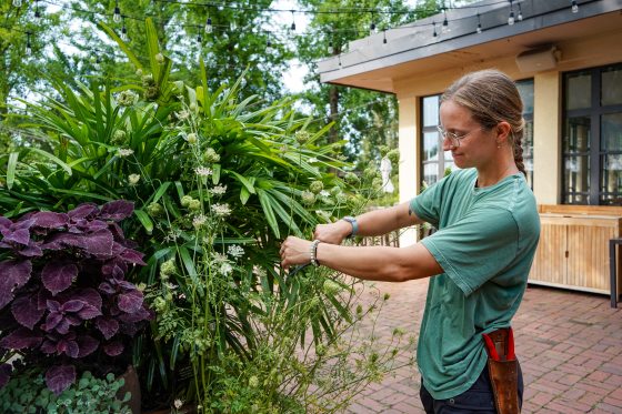 A person in a green short with their hair in a braid tending to a large plant container.