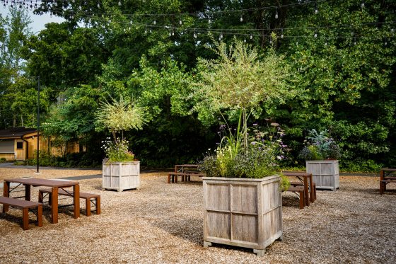 Large wood square planters at the Longwood Gardens Beer Garden.