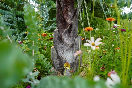 A trunk of a plam type tree surrounded by wild flowers.