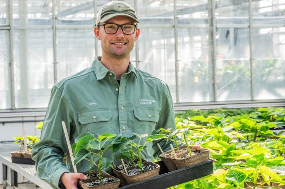 A white man with a green baseball cap, black glasses, and a green work shirt holds a tray of seedlings in a greenhouse setting. 