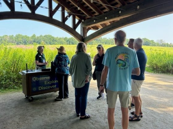 A person engaging with guests at a Discovery Cart in a Meadow.