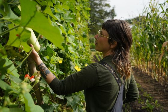 A person examining a gourd growing on a vine in a garden setting.