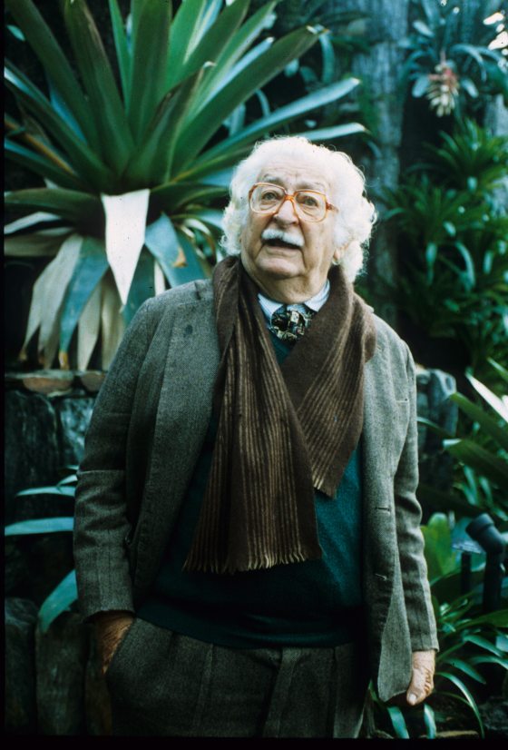 A person with white hair and mustache looking up at plants in a conservatory.