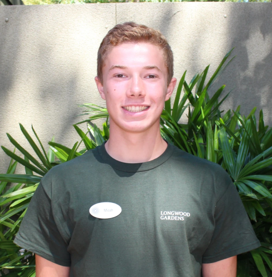 Portrait of smiling person with short blond-brown hair, wearing a dark green Longwood Gardens t-shirt.