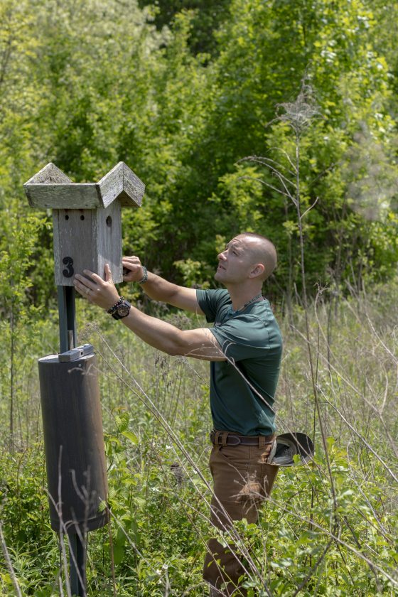 A man wearing a dark green shirt reaches for a birdhouse positioned on a pole in a grassy field.