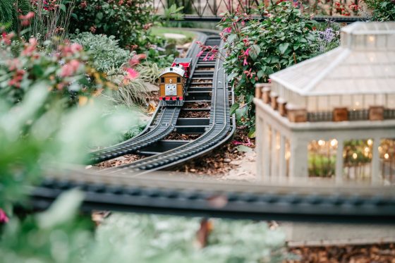 An outdoor model train display featuring a Thomas train engine.