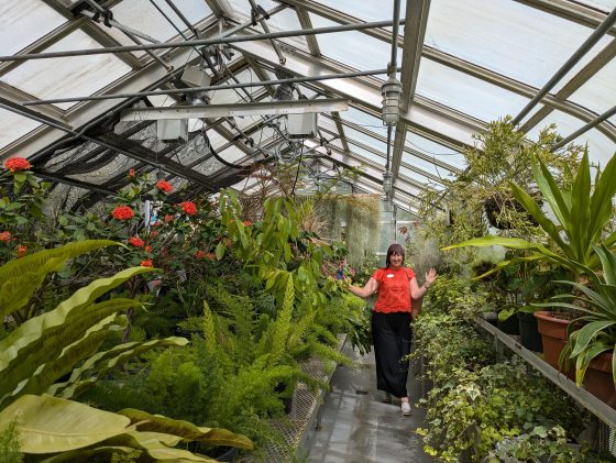 A person in a red blouse and black pants standing among a variety of plants in a nursery.