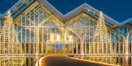 Arches of a glass conservatory and two outdoor Christmas trees, warmly lit by golden lights and reflected in water in the foreground, point to a deep blue sky, while windows reveal the Christmas lighting within.