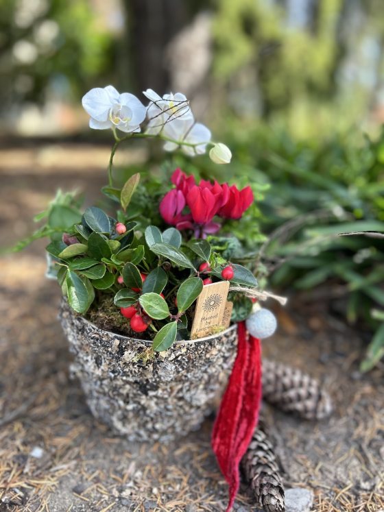 A holiday inspired arranvement in red and white.