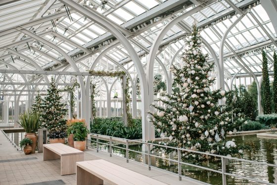 Six Christmas trees, decked out in white and gold, inside the West Conservatory at Longwood Gardens.