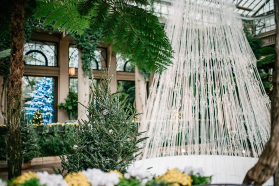 A translucent Christmas tree shape within a conservatory at Longwood Gardens.