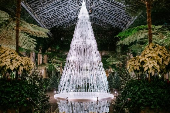 A translucent Christmas tree shape within a conservatory at Longwood Gardens.