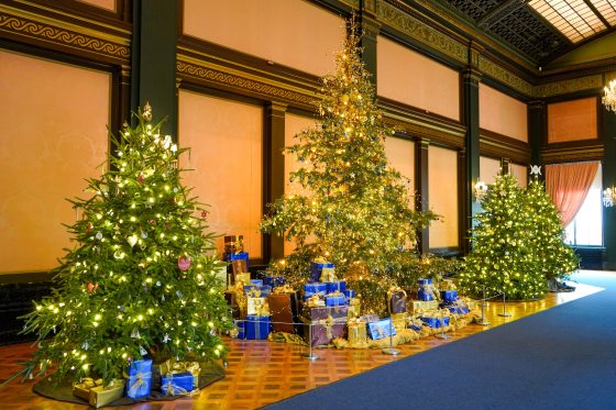 Four Christmas trees on display in the Ballroom at Longwood Gardens.