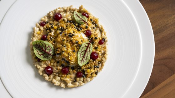 A bowl of risotto adorned with sunflower seeds, cranberries, and green leaves.