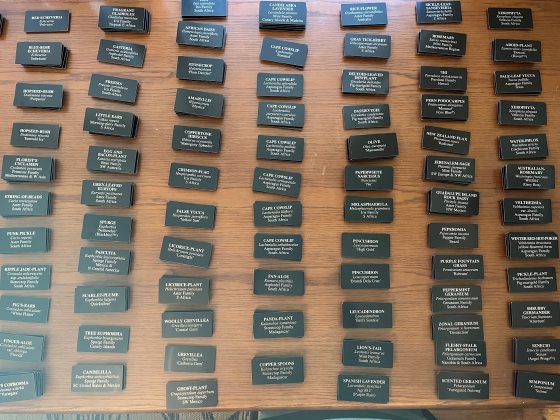 Rows of plant display labels all with white text and black background.