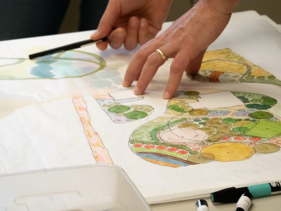 A person's hands on a illustration of a landscape design plan.