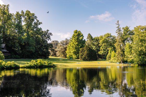 A large lake with tall trees around it, in summer.