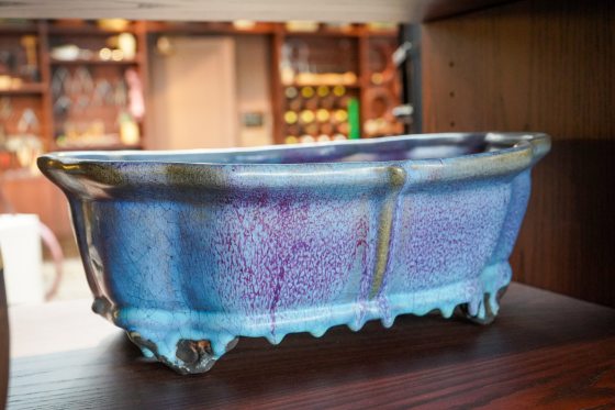 A blue glazed bonsai pot sitting on a wood shelf.