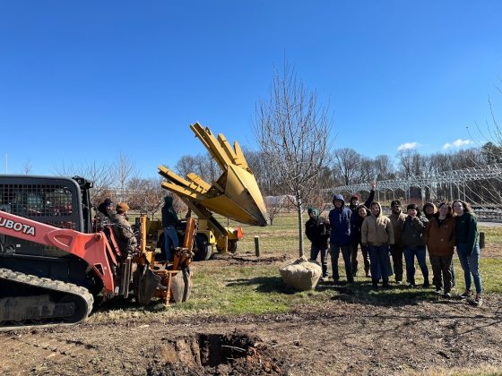 A large maching digging a hole that a nearby tree will be planted into.