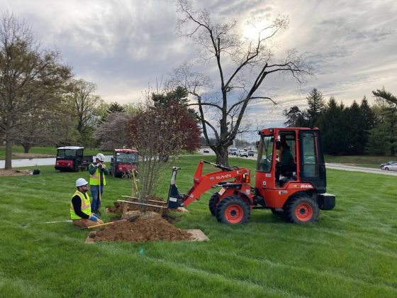 A tractor helping to plant a tree in a lush green lawn with the help of two additional gardeners watching the planting.
