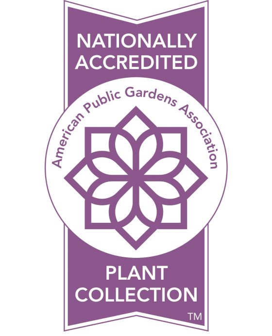 A logo depicting a purple ribbon with a white circular center and purple flower graphic that says Nationally Accredited Plant Collection American Public Gardens Association   