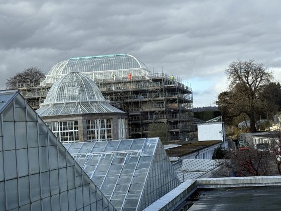 Three large glasshouses, one under renovation at a botanical garden.