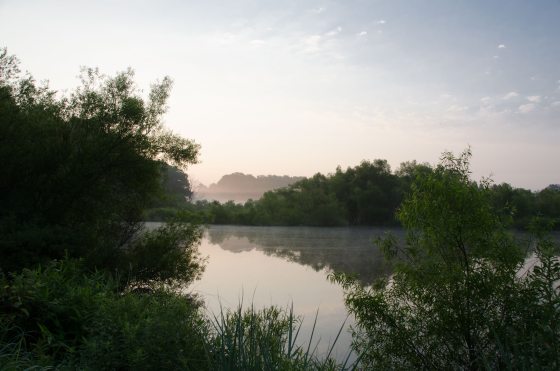 A serene view of a pond and wetlands area at sunrise.