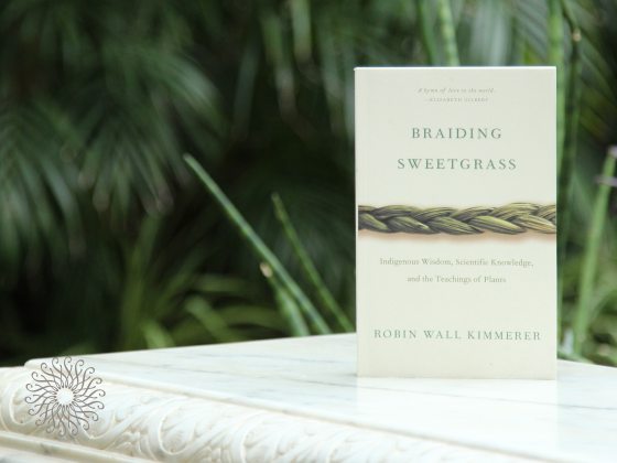 A book titled "Braiding Sweetgrass" on display in a white marble table, propped up,.