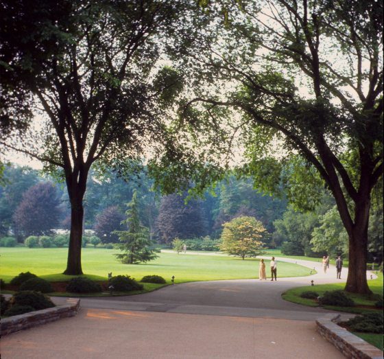 A garden with a paved path and large trees on either side, with people walking up the path.