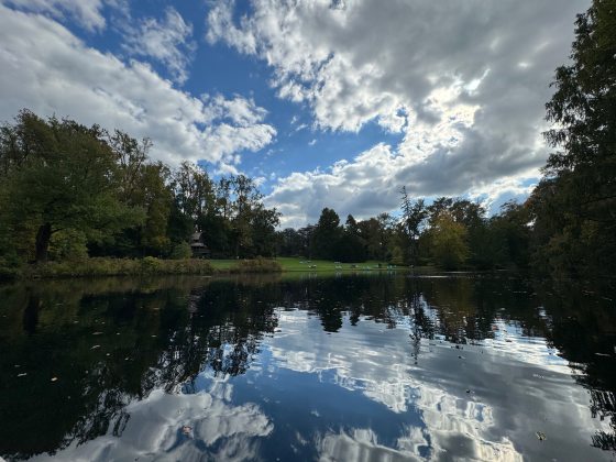 A serene view of a pond and forest with cloud reflections in the pond.