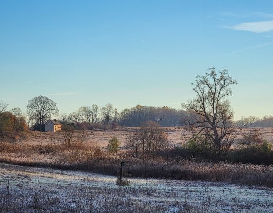 A winter vista of a Meadow Garden, featuring a large tulip tree on the right, and a farmhouse in the far background.