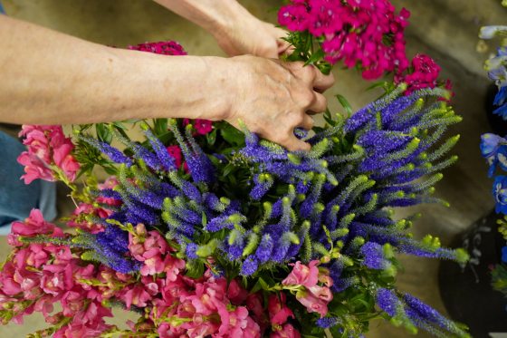 A person arranging pink and dark purple flowers into an arrangement.