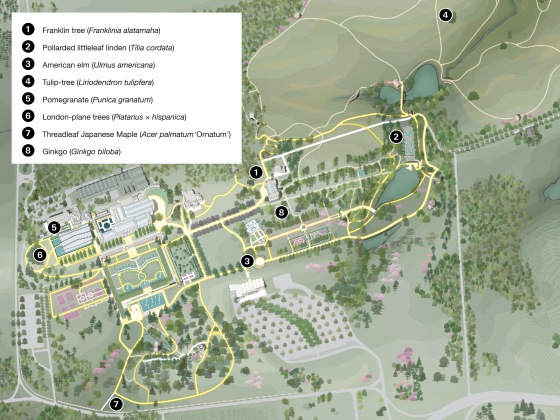 An illustrated map of Longwood Gardens featuring callouts for specific trees.