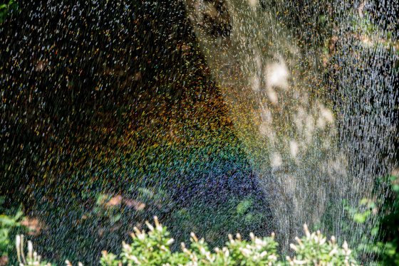 Sprays of water with a hint of a rainbow in the center.
