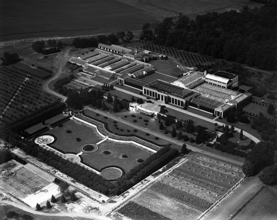 A black and white aerial image of the Longwood Gardens conservatories in 1931.