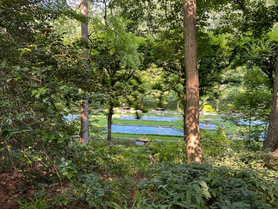 A shady, wooded garden, overlooking fountain pools at Longwood Gardens.