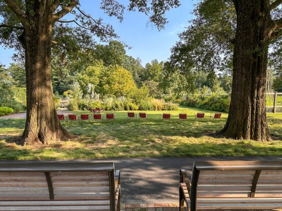 Two wooden benches overlooking the Idea Garden at Longwood Gardens.