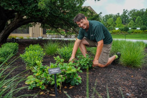 A person kneeling down in a garden bed, smiling at the camera.