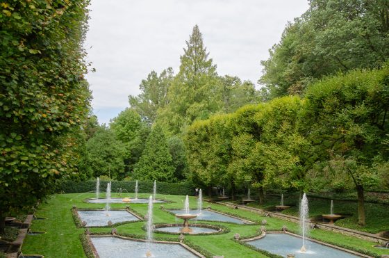  A wide-angle, slightly elevated view of a formal garden featuring a series of rectangular and circular fountain pools set into a meticulously manicured green lawn. The fountains are actively spraying jets of water into the air. 