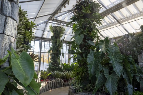 Inside the Cascade Garden at Longwood Gardens, featuring tropical plants and stone. 