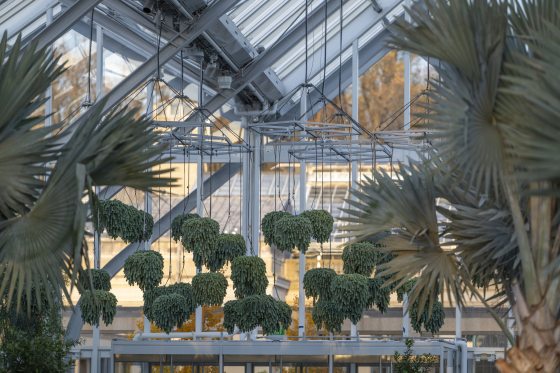 The inside of a the conservatory at Longwood Gardens featuring a range of hanging baskets in the center. 
