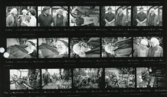 A black and white sheet of photograph selections.