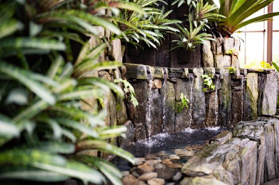 A garden inside a conservatory with a stone wall with water features and tropical plant foliage.