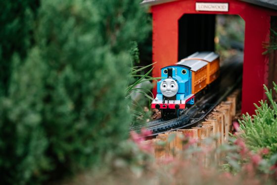 A close-up of a large-scale model of Thomas the Tank Engine, featuring his smiling face, as he emerges from a red model tunnel or shed labeled "Longwood." The model train is running on a track laid over wooden ties and is framed by soft-focus, lush green evergreen foliage and touches of pink flowers in the foreground, suggesting a garden railway setting.
