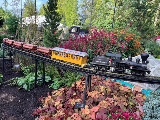 A model railway set is displayed outdoors in a garden, running on an elevated black track. A black steam locomotive pulls a bright yellow passenger car and several brown flat cars loaded with miniature logs. The track curves over a bed of vibrant foliage with deep red and orange leaves and flowers.