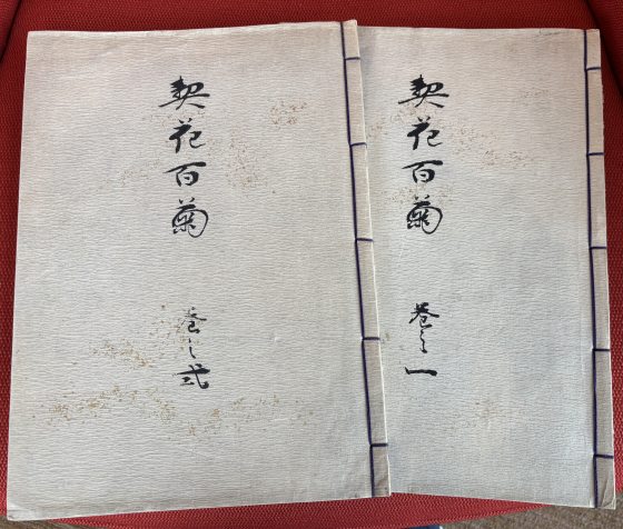 Two side-by-side volumes of a traditional Japanese, stitched-spine book (likely an orihon or fukurotoji binding). The covers are white or off-white with some discoloration. Black ink text is visible on both.