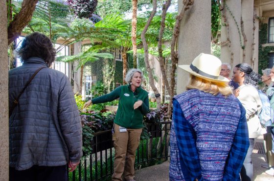 A female guide wearing a green jacket leads a group of visitors down a pathway lined with lush greenery and ferns inside a conservatory.