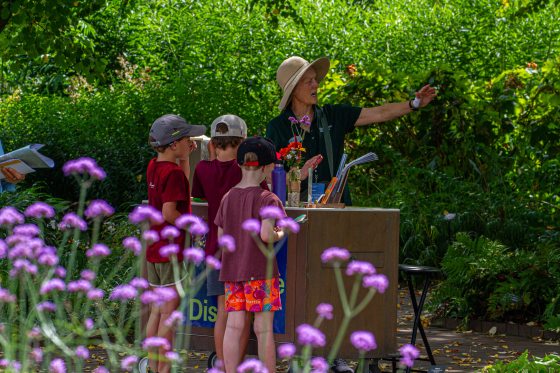 An outdoor educator wearing a sun hat points out a plant to a small group of children during a tour in a lush garden, with purple verbena flowers in the foreground.